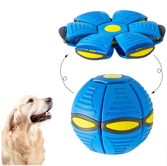 Hunde Frisbee Ball