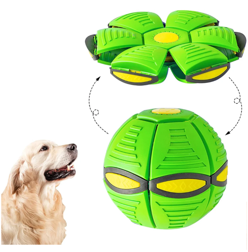 Hunde Frisbee Ball