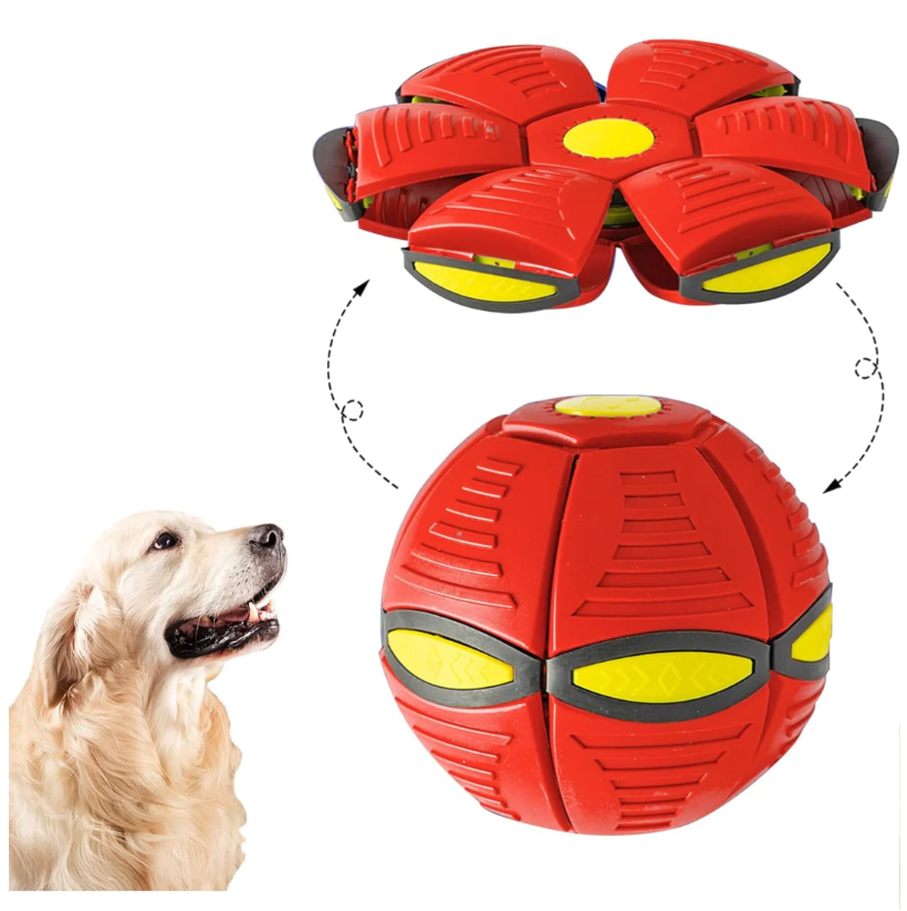 Hunde Frisbee Ball